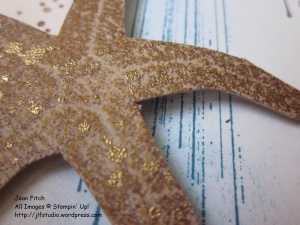 Starfish Detail - Jean Fitch